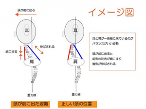 shisei04